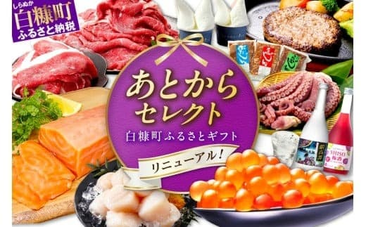 あとからセレクト【ふるさとギフト】10万円_S100-9010