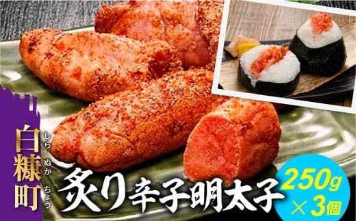 炙り辛子明太子【250g×3】_T012-0472