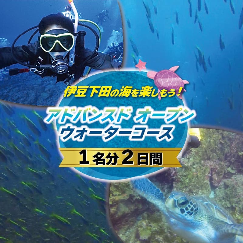 【ロ】ダイビング アドバンスド オープン ウォーターコース 2日間 1名 海 PADI ライセンス アウトドア スポーツ アクティビティ マリンスポーツ レジャー ドラゴンレディ 旅行 観光 静岡県 下田市 伊豆