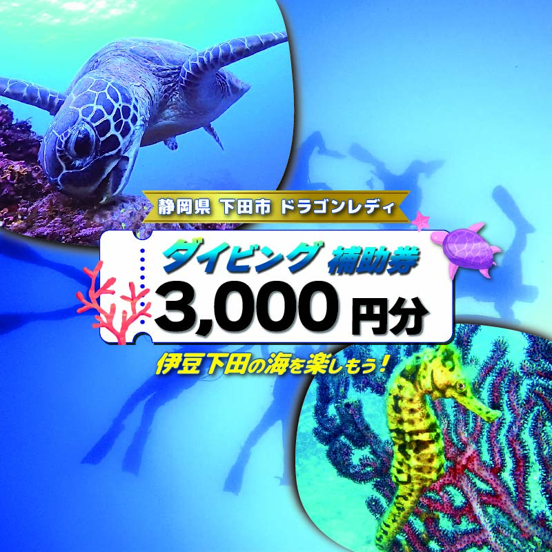 【ロ】ダイビング 補助券 3,000円分 優待券 下田 体験 海 アウトドア スポーツ アクティビティ マリンスポーツ レジャー 旅行 観光 夏休み お盆 GW 冬休み 春休み 初心者 中級者 上級者 コース 白浜 ホテル伊豆急 内 ドラゴンレディ 静岡県 下田市 伊豆