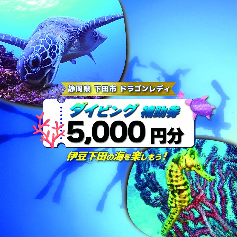 【ロ】ダイビング 補助券 5,000円分 優待券 下田 体験 海 アウトドア スポーツ アクティビティ マリンスポーツ レジャー 旅行 観光 夏休み お盆 GW 冬休み 春休み 初心者 中級者 上級者 コース 白浜 ホテル伊豆急 内 ドラゴンレディ 静岡県 下田市 伊豆