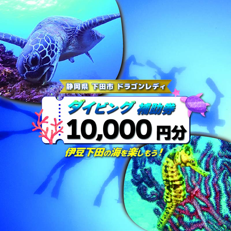 【ロ】ダイビング 補助券 10,000円分 優待券 下田 体験 海 アウトドア スポーツ アクティビティ マリンスポーツ レジャー 旅行 観光 夏休み お盆 GW 冬休み 春休み 初心者 中級者 上級者 コース 白浜 ホテル伊豆急 内 ドラゴンレディ 静岡県 下田市 伊豆