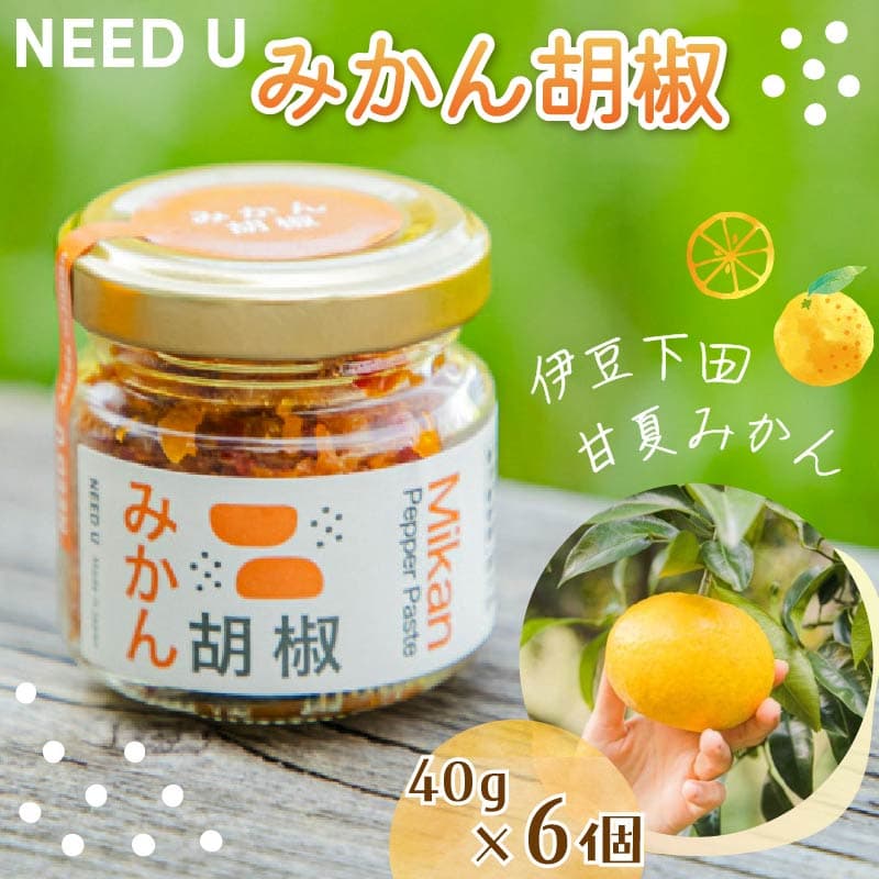 【ロ】 調味料 みかん胡椒 6個 (240g) 胡椒 こしょう 料理 洋食 パスタ 和食 みかん 甘夏みかん 小分け 唐辛子 海塩 フードロス アップサイクル 蓮台寺 伊豆 下田 静岡県 下田市 NEED U PTS064-00001