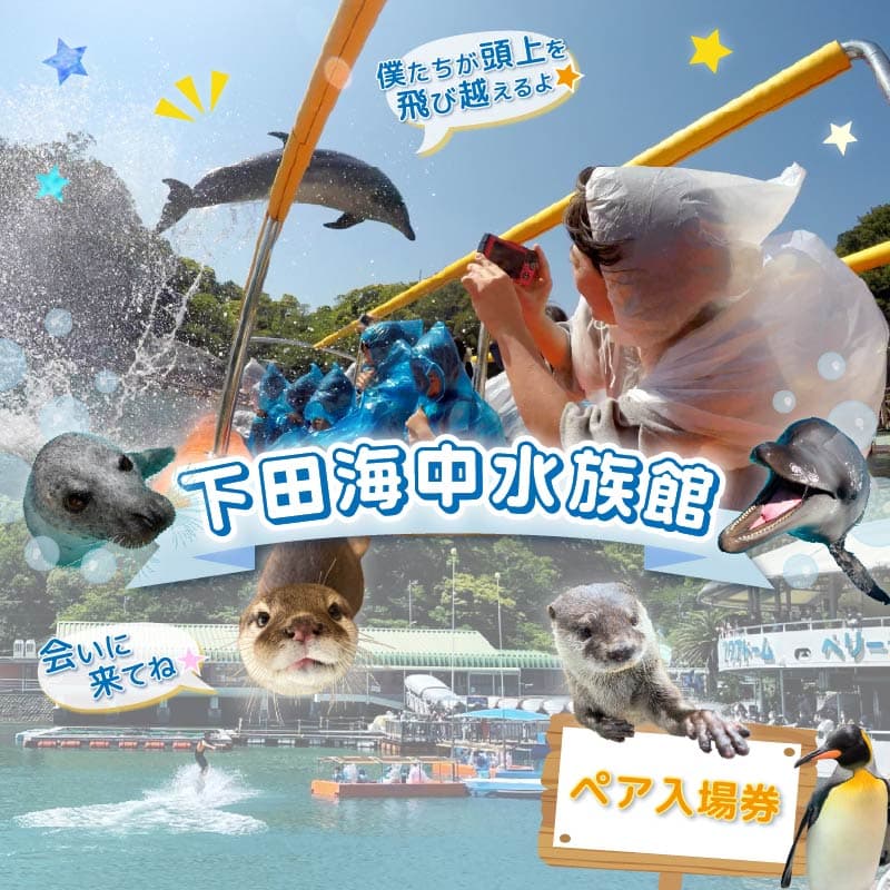 【ロ】水族館 入館チケット ペア 入場券 券 下田海中水族館 海 イルカ ペンギン カワウソ ふれあい 体験 観光 旅行 静岡県 下田市 伊豆