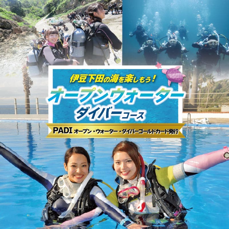 【ロ】ダイビング PADI スクール 資格取得 PADI ゴールドカード 3日間 1名 オープンウォーターダイバー コース ライセンス保持者 アウトドア スポーツ 海 アクティビティ マリンスポーツ レジャー 旅行 観光 ドラゴンレディ 静岡県 下田市 伊豆