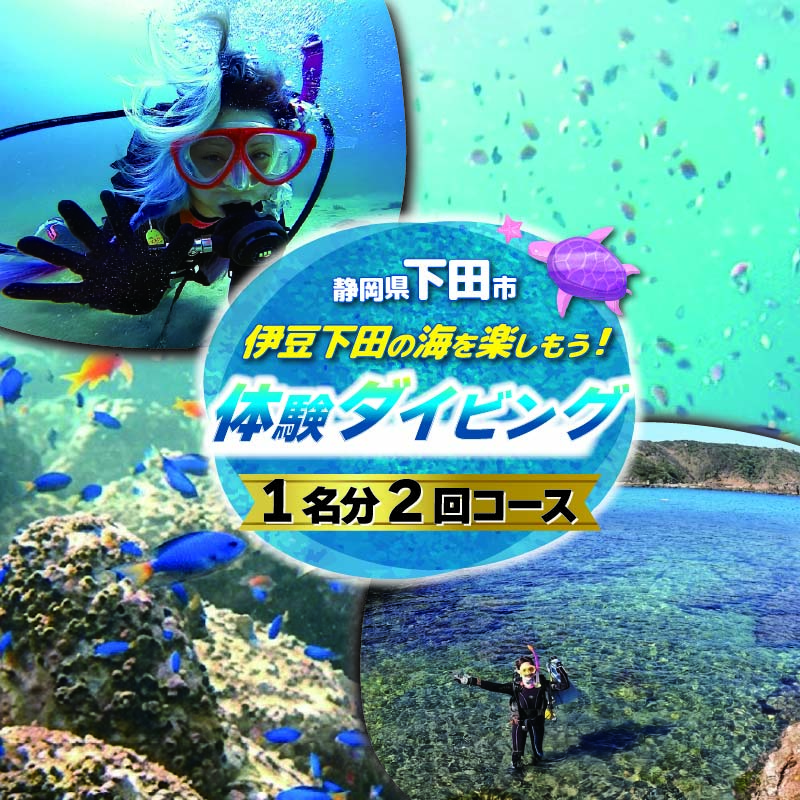 【ロ】ダイビング 体験チケット 2回コース 1名 下田 体験 海 初心者 2回 コース アウトドア スポーツ アクティビティ マリンスポーツ レジャー 旅行 観光 夏休み お盆 GW 冬休み 春休み 白浜 ホテル伊豆急 内 ドラゴンレディ 静岡県 下田市 伊豆