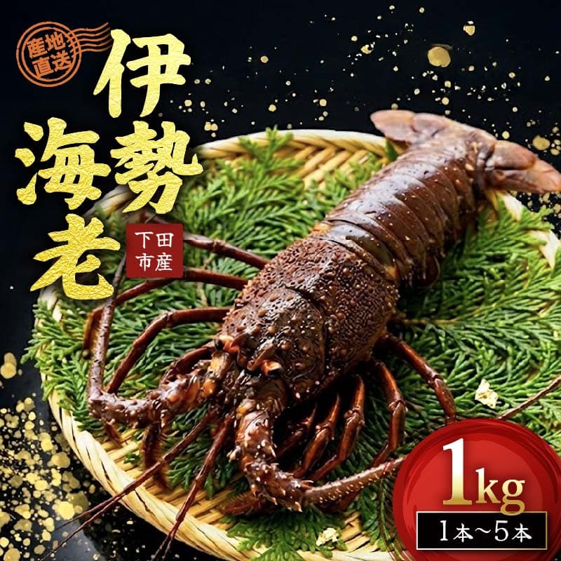 【ロ】 冷凍 伊勢海老 活 1kg Jセット 下田産 伊勢エビ 海老 活き締め 国産 海老 えび 刺身 味噌汁 おつまみ バーベキュー BBQ おせち ギフト 贈答 プレゼント 伊豆 辻水産 下田市 静岡県