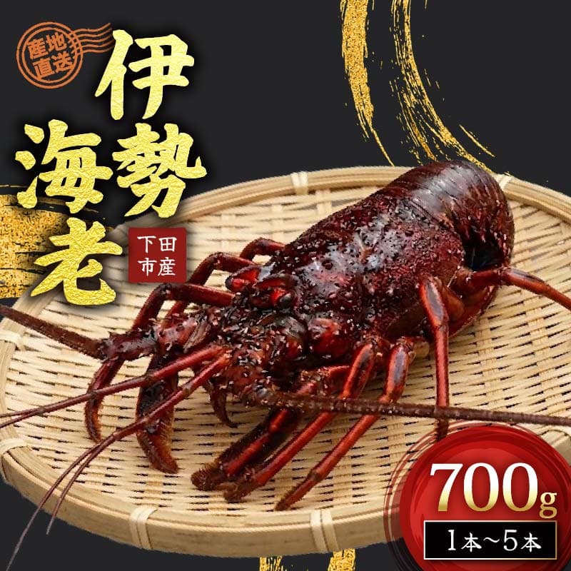 【ロ】 冷凍 伊勢海老 活 700g Nセット 下田産 伊勢エビ 海老 活き締め 国産 海老 えび 刺身 味噌汁 おつまみ バーベキュー BBQ おせち ギフト 贈答 プレゼント 伊豆 辻水産 下田市 静岡県