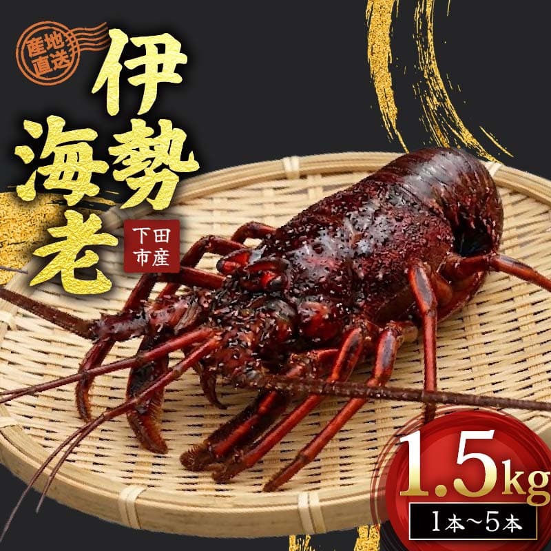 【ロ】 冷凍 伊勢海老 活 1.5kg Oセット 下田産 伊勢エビ 海老 活き締め 国産 海老 えび 刺身 味噌汁 おつまみ バーベキュー BBQ おせち ギフト 贈答 プレゼント 伊豆 辻水産 下田市 静岡県