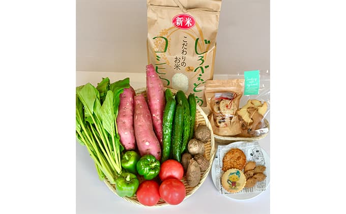 海の駅九十九里 大地のめぐみセット お米 コシヒカリ 野菜 詰合せ お菓子 焼菓子 クッキー