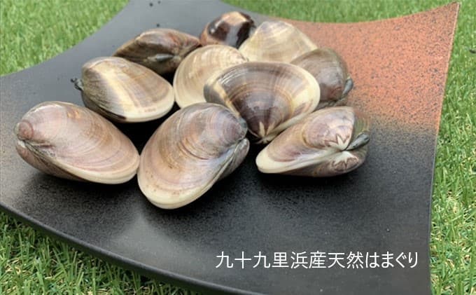 はまぐり 定期便 6ヶ月 九十九里産 天然はまぐり 1.5kg ご注文時お勧めサイズお任せ セット 貝 海鮮 海産物 海の幸 魚介 魚介類 水産 水産物 国産 天然 地元漁師が厳選 産地直送 冷蔵 冷蔵配送 千葉 千葉県 九十九里 九十九里町 定期 お楽しみ 6回