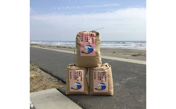 米 コシヒカリ みなみ米 5kg 九十九里産 お米 白米 精米 ご飯 ブランド米 産地直送 送料無料 こめ コメ おこめ ごはん こしひかり 千葉 千葉県 九十九里 九十九里町