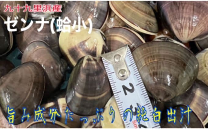 うま味が濃い純白出汁の天然”ゼンナ”冷凍(蛤小)2kg入り 魚貝類 旨み 濃厚な出汁 天然はまぐり 身が厚い 甘み 貝 海の幸 海鮮 国産 九十九里浜産