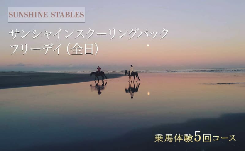 乗馬 千葉 SUNSHINE STABLES フリーデイ(全日) 体験 チケット サンシャインスクーリングパック 馬 アクティビティ アウトドア スポーツ ギフト券 券 体験チケット 旅行 千葉県 九十九里 九十九里町