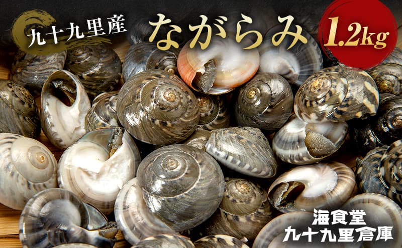 ながらみ 1.2キロ 魚介類 貝類 貝 海の幸 海鮮 幻の貝 冷凍 おつまみ 国産 名産物 九十九里 千葉県