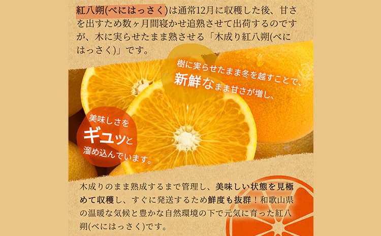 【先行予約】紀州和歌山産 木成紅八朔 8kg 株式会社魚鶴商店(大鶴商店)《2月下旬-3月中旬頃出荷》和歌山県 日高町 紀州和歌山産 木成紅八朔 はっさく ハッサク 八朔 紅八朔 柑橘 果物 フルーツ---wsh_uot235_2g3c_26_18000_8kg---
