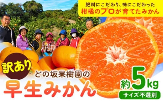 みかん 和歌山 訳あり 早生 みかん 5kg ( サイズ おまかせ ) どの坂果樹園《12月上旬-2027年2月上旬頃出荷予定》 和歌山県 日高町 産地直送 家庭用 規格外 不揃い 果物 柑橘 サイズ 不選別 訳ありみかん わけありみかん 送料無料---wsh_dsk54_12j2j_25_9000_5kg--- (管理コード:wsh_dsk54_12j2j_25_9000_5kg)
