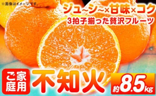 【ご家庭用】紀州有田産 不知火 (しらぬひ) 約8.5kg 魚鶴商店 《2月上中旬-3月中旬頃出荷》 和歌山県 日高町 不知火 みかん 柑橘 果物 フルーツ デコポンと同品種 デコポン 訳あり不知火 訳あり 訳ありデコポン ---wsh_uot120_2c3c_25_21000_85--- (管理コード:wsh_uot120_2c3c_25_21000_85)