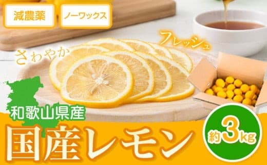 【果物・フルーツ特集】レモン 国産 レモン 3kg(L~4Lサイズ) ノーワックス 減農薬 どの坂果樹園《2027年2月上旬-5月末頃出荷》 和歌山県 日高町 レモン れもん 檸檬 旬 果物 フルーツ 柑橘 産地直送 送料無料---wsh_dsk3_ac25_24_10000_3kg--- (管理コード:wsh_cdsk14_2j5m_24_10000_3kg)