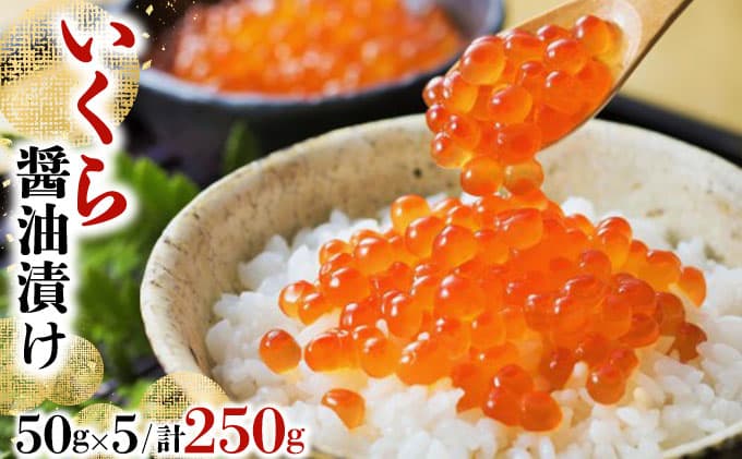 【魚介・海産物特集】いくら醤油漬け 250g(50g×5)【順次発送】045-a008