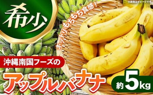 国産 希少種!南国フーズのアップルバナナ 約5kg - バナナ ばなな 小ぶり 沖縄県 産地直送 果物 フルーツ 南国 朝食 おすすめ 沖縄県 八重瀬町