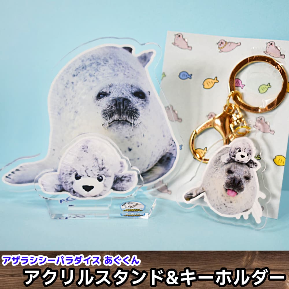 10-502 【年内発送12月15日入金まで】あぐのアクリルスタンド・キーホルダー【アザラシシーパラダイスグッズ】 within2025