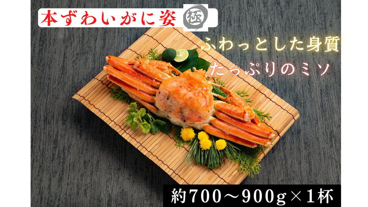 13-359 【年内発送12月15日入金まで】本ずわいがに姿 大型サイズ1杯 within2025
