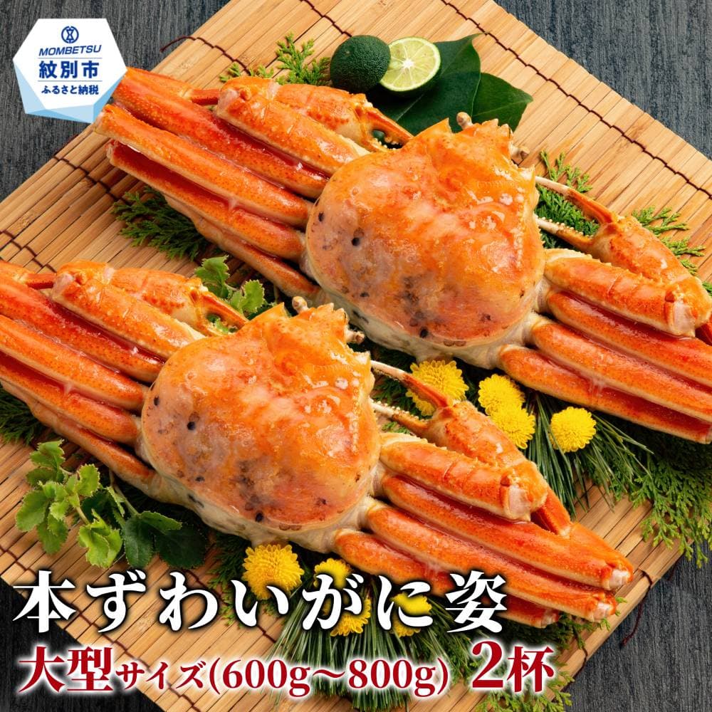 22-153 本ずわいがに姿 大型サイズ2杯 約600~800g