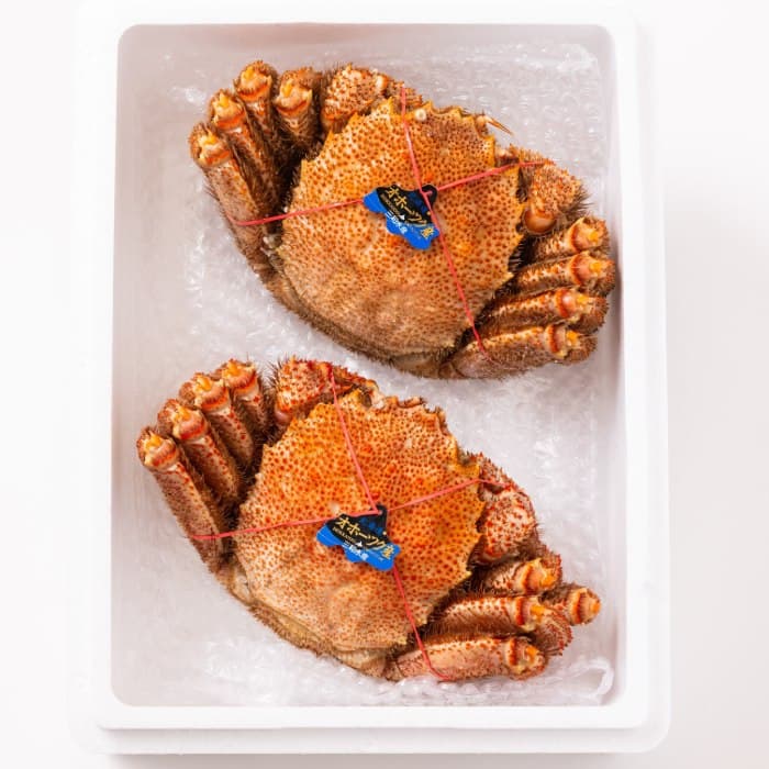 44-20 毛ガニ約660g×2尾