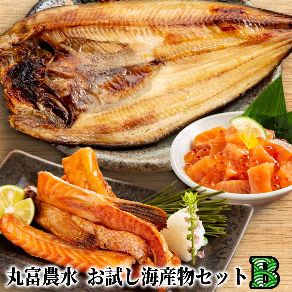 13-362 【年内発送12月15日入金まで】丸富農水お試し海産物セットB within2025