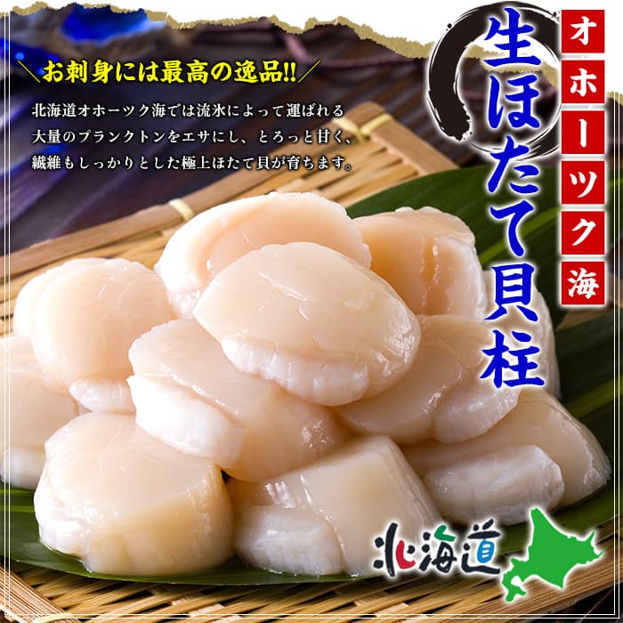 31-12 【甲羅組】ほたて貝柱 大型サイズ 1kg