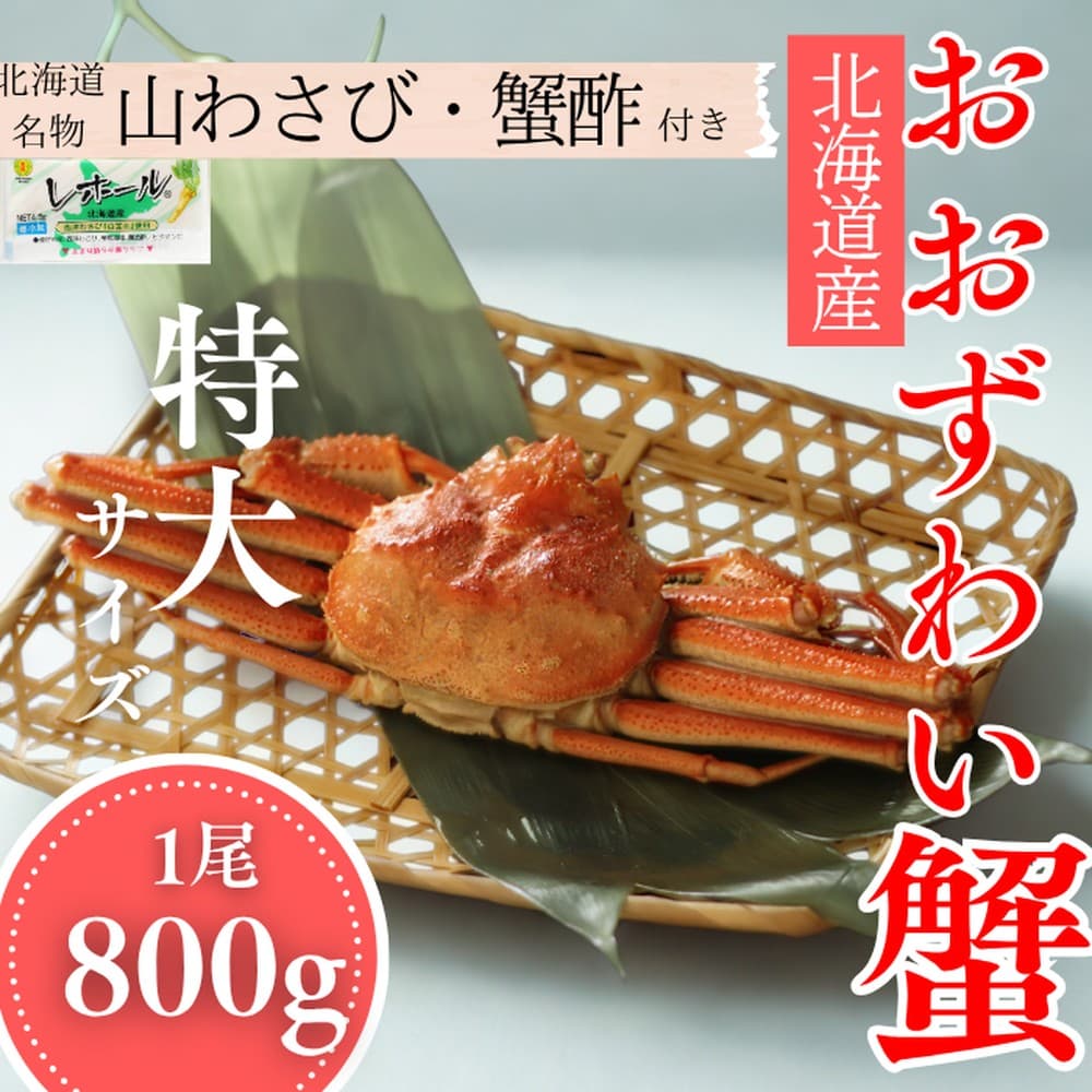 20-290 【北海道産】特大サイズ オオズワイガニ姿 800g以上1尾 | 蟹酢・山わさび付 かに おおずわいがに