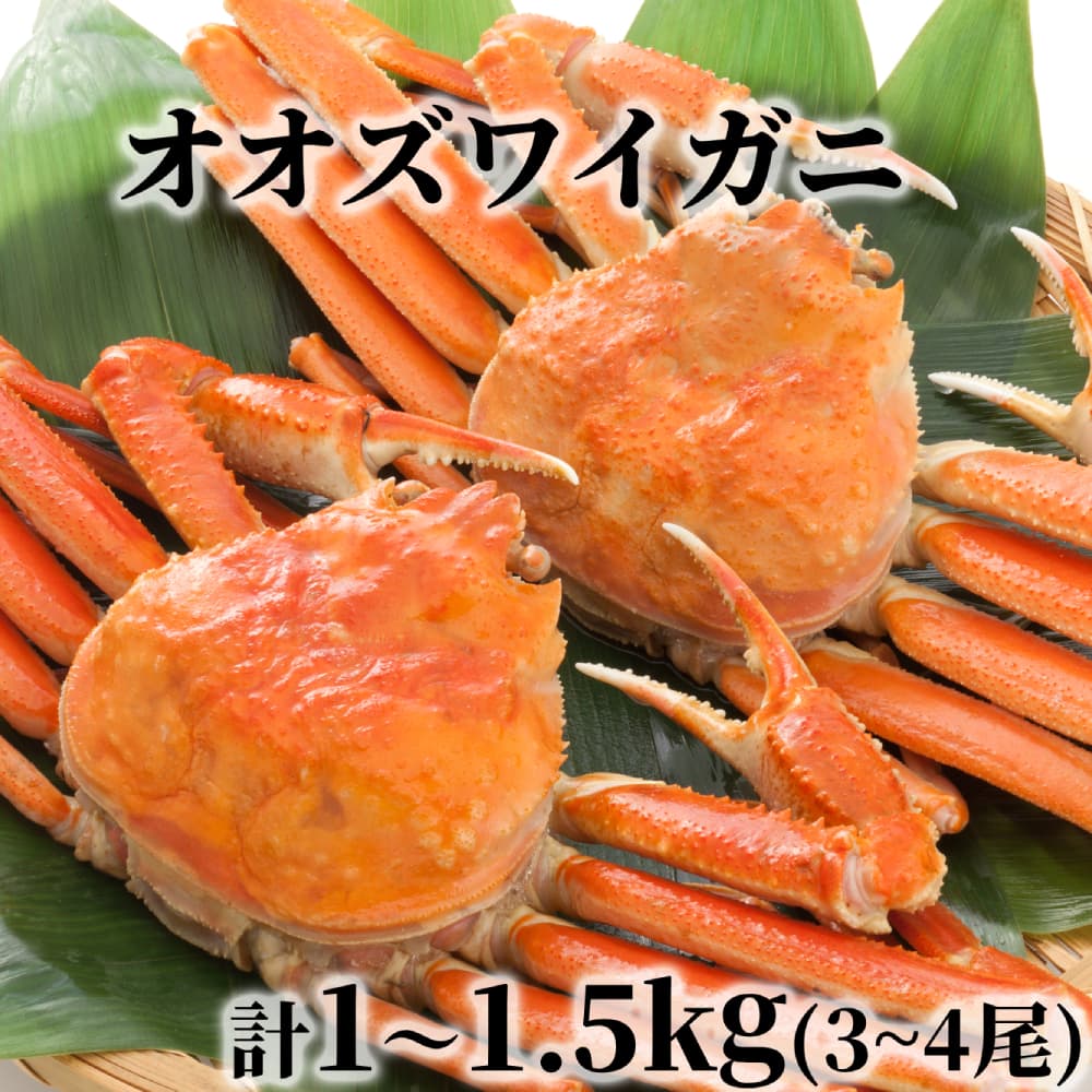 17-203 北海道産 ボイルオオズワイガニ姿 計1~1.5kg内外(3~4尾)