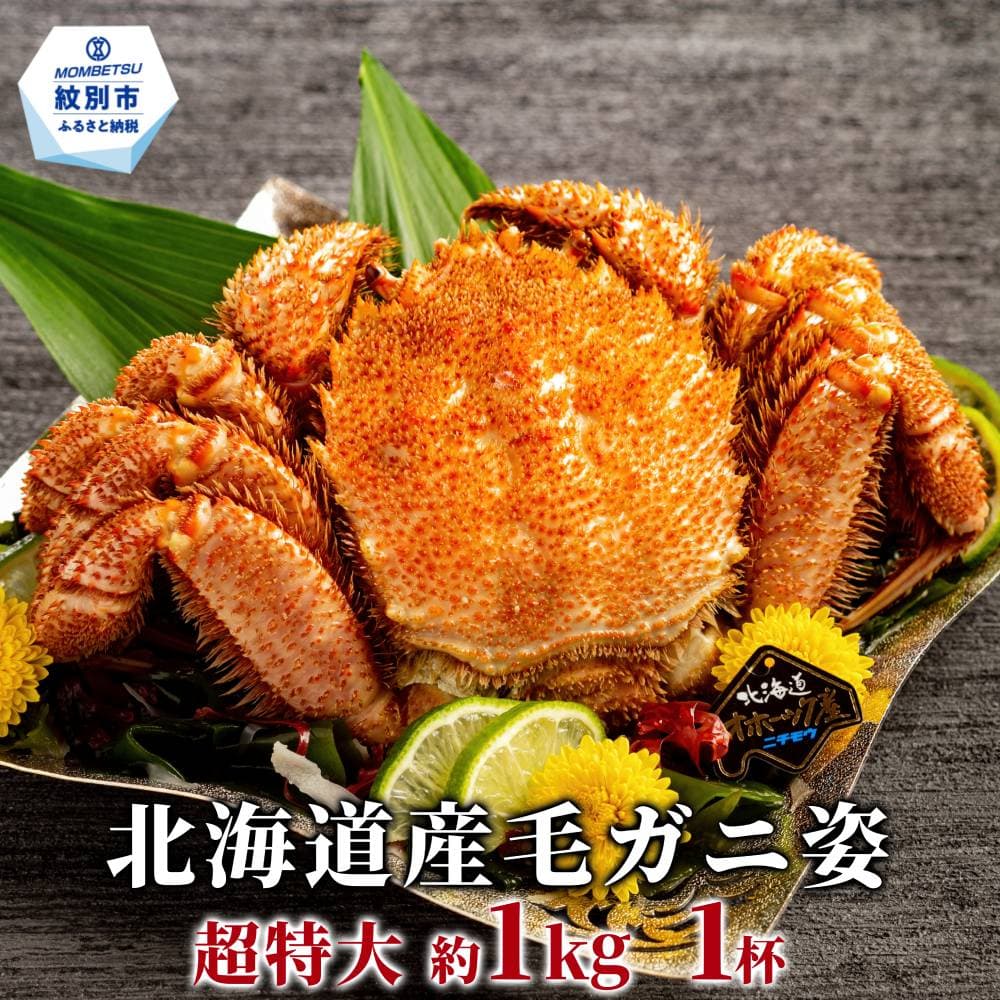 25-97 【超特大】北海道産毛ガニ 約1kg×1杯
