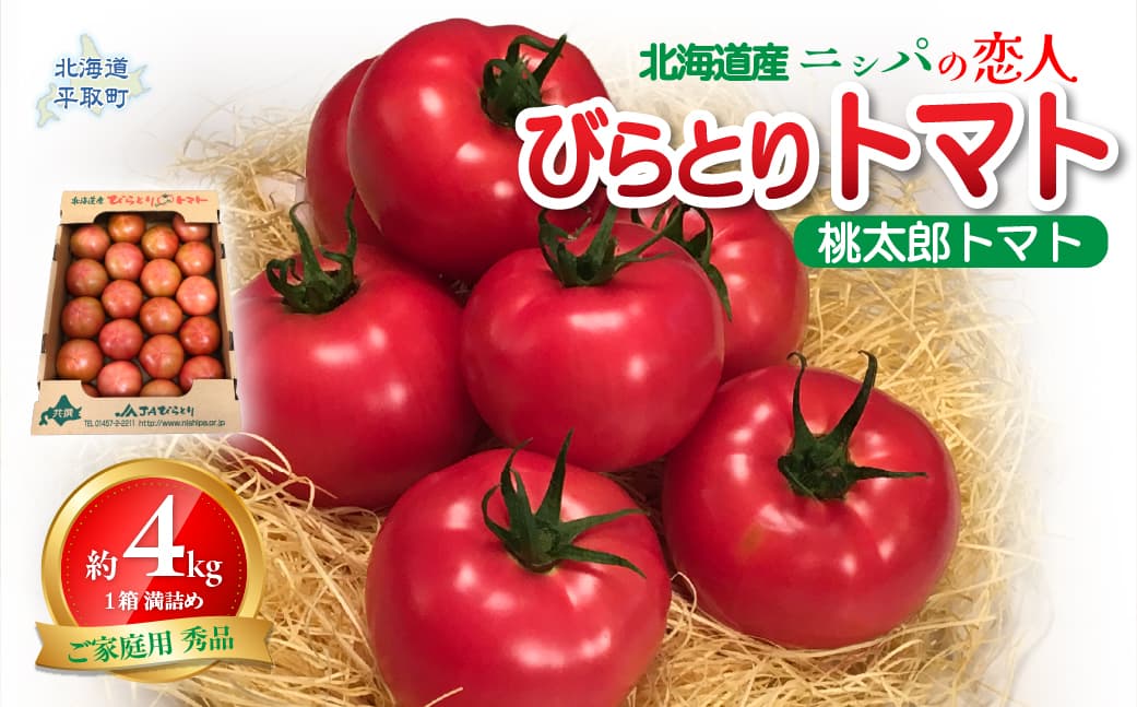 【先行予約/2026年6月以降発送】【家庭用】ニシパの恋人「びらとりトマト」秀品 1箱 約4kg(20~24個 満詰め) BRTO001