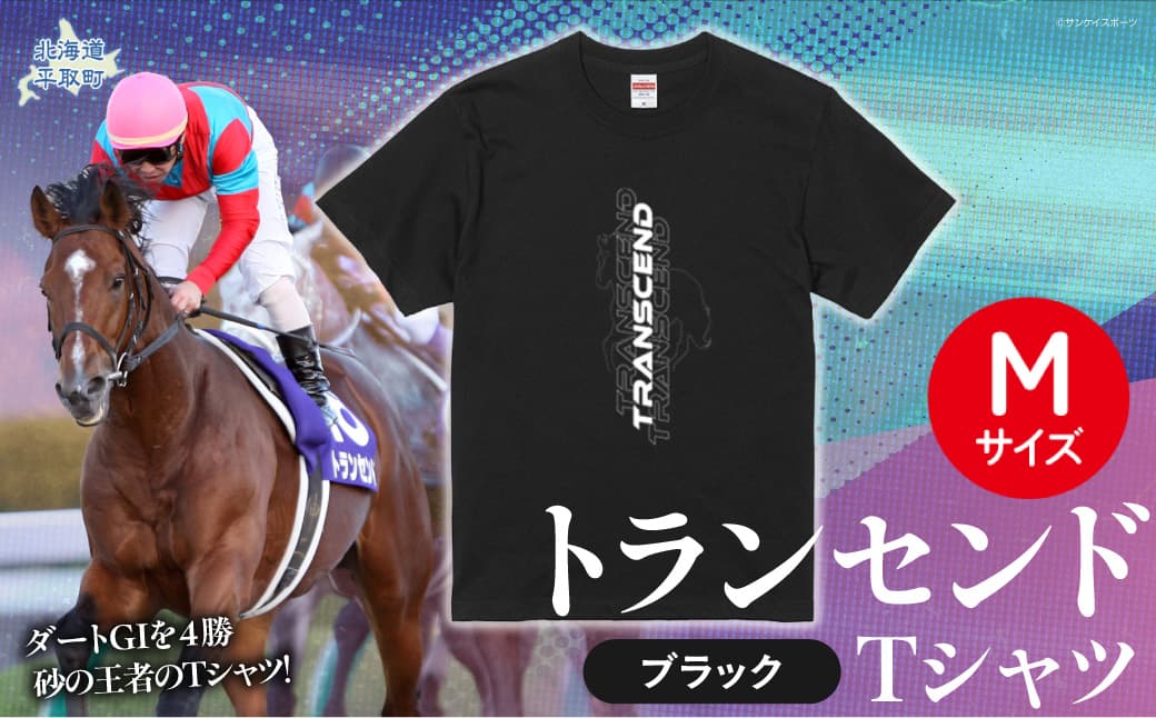 【トランセンド】Tシャツ 選べる4サイズ【M】 BRTV150-2