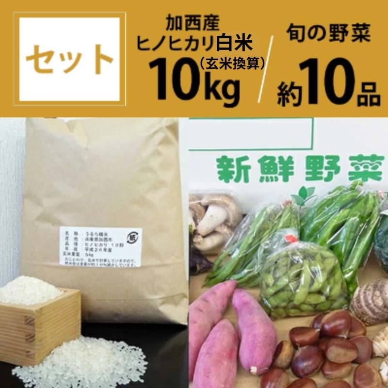 米 野菜 セット 加西産 ヒノヒカリ 白米 10kg(5kg×2:玄米換算) 季節の野菜 10品程度 詰合せ 旬の野菜 やさい お米 精米 ご飯 白飯 単一原料j米