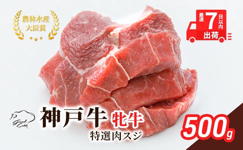 【最短7日以内発送】 神戸ビーフ 神戸牛 牝 特選肉スジ(角切りカレー煮込み用) 500g 川岸畜産 煮込み おでん カレー 冷凍 肉 牛肉 すぐ届く お肉 和牛 食材 グルメ ブランド牛 日本産 国産 夕飯 晩御飯 夜ごはん
