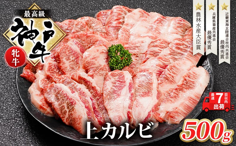 【最短7日以内発送】 神戸ビーフ 神戸牛 牝 上カルビ 焼肉 500g 川岸畜産 冷凍 肉 牛肉 すぐ届く お肉 和牛 食材 グルメ ブランド牛 日本産 国産 夕飯 晩御飯 夜ごはん