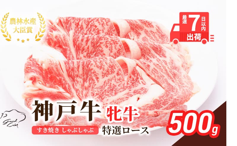 【最短7日以内発送】 神戸ビーフ 神戸牛 牝 特選ロース 500g 川岸畜産 すき焼き しゃぶしゃぶ 焼肉 冷凍 肉 牛肉 すぐ届く お肉 和牛 食材 グルメ ブランド牛 日本産 国産 夕飯 晩御飯 夜ごはん