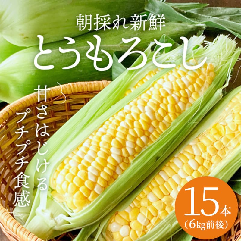 朝どり とうもろこし 15本(6kg前後)よしよし畑 農家直送