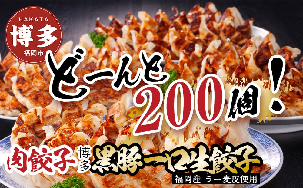 【200個!!】【福岡ブランド】博多黒豚一口生餃子 8パック小分 福岡県産ラー麦皮使用 創業40年以上福岡会社製造【1月中旬以降発送】