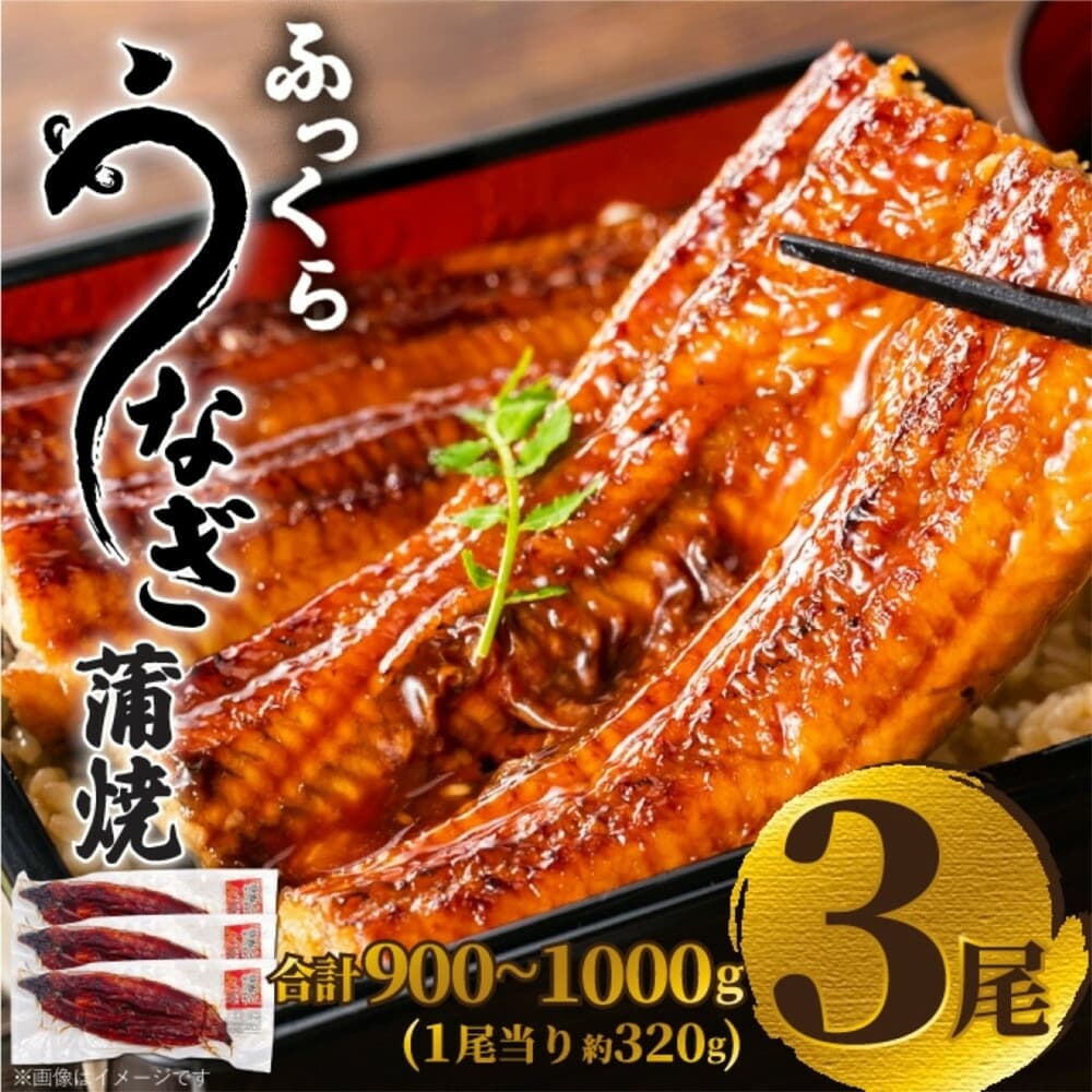 ふっくら大判うなぎ蒲焼 計約960g(約320g×3尾)