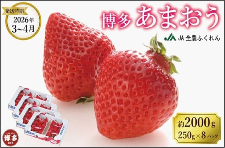 <2027年3月~4月発送>博多あまおう 約250g×8