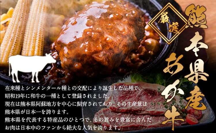 熊本県産あか牛100%生ハンバーグ 140g×4個 入り 《30日以内に出荷予定(土日祝除く)》 冷凍 ハンバーグ---mna_faknhamv_30d_26_6500_4p---