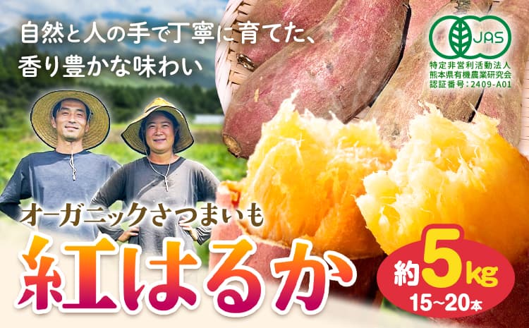 有機JAS認定 紅はるか 5kg 農園ベルの樹《12月上旬-3月下旬頃出荷》熊本県 南阿蘇村 さつまいも オーガニック 有機栽培 薩摩芋---sms_blkbhk_12j3g_r7_11500_5kg---