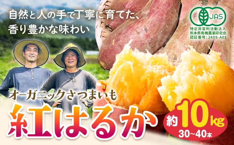 有機JAS認定 紅はるか 10kg 農園ベルの樹《12月上旬-3月下旬頃出荷》熊本県 南阿蘇村 さつまいも オーガニック 有機栽培 薩摩芋---sms_blkbhk_12j3g_r7_19500_10kg---
