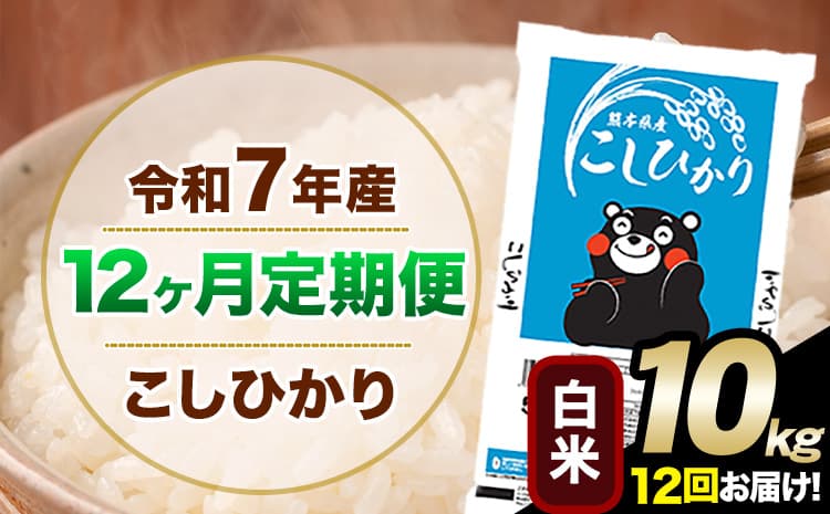 【12ヶ月定期便】令和7年産 定期便 こしひかり 白米 定期便 10kg 5kg×2袋 精米 熊本県産(南阿蘇村産含む) 単一原料米 南阿蘇村《お申込み翌月から出荷》---kh7tei_218000_10kg_mo12_mna_h---