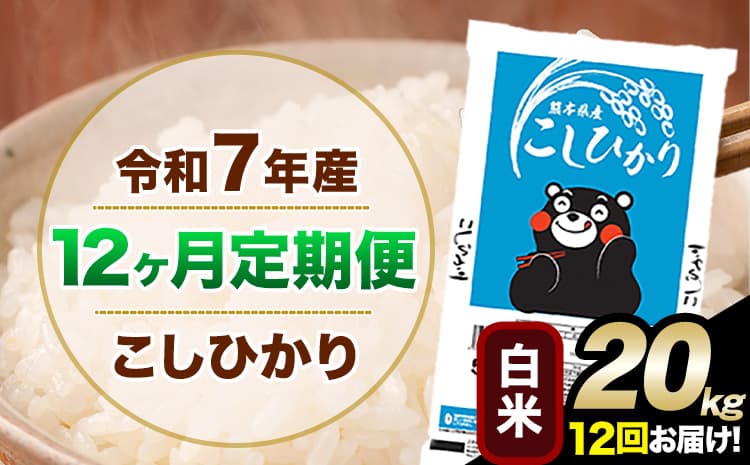 【12ヶ月定期便】令和7年産 定期便 こしひかり 白米 定期便 20kg 5kg×4袋 精米 熊本県産(南阿蘇村産含む) 単一原料米 南阿蘇村《お申込み翌月から出荷》---kh7tei_434000_20kg_mo12_mna_h---