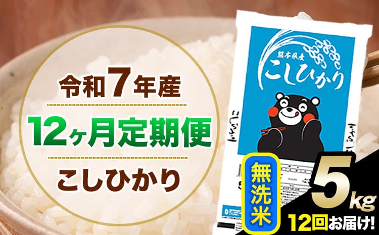 【12ヶ月定期便】令和7年産 定期便 こしひかり 無洗米 定期便 5kg 5kg×1袋 精米 熊本県産(南阿蘇村産含む) 単一原料米 南阿蘇村《お申込み翌月から出荷》---kh7tei_110000_5kg_mo12_mna_m---